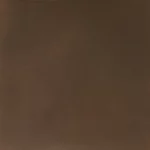 Metallic Bronze