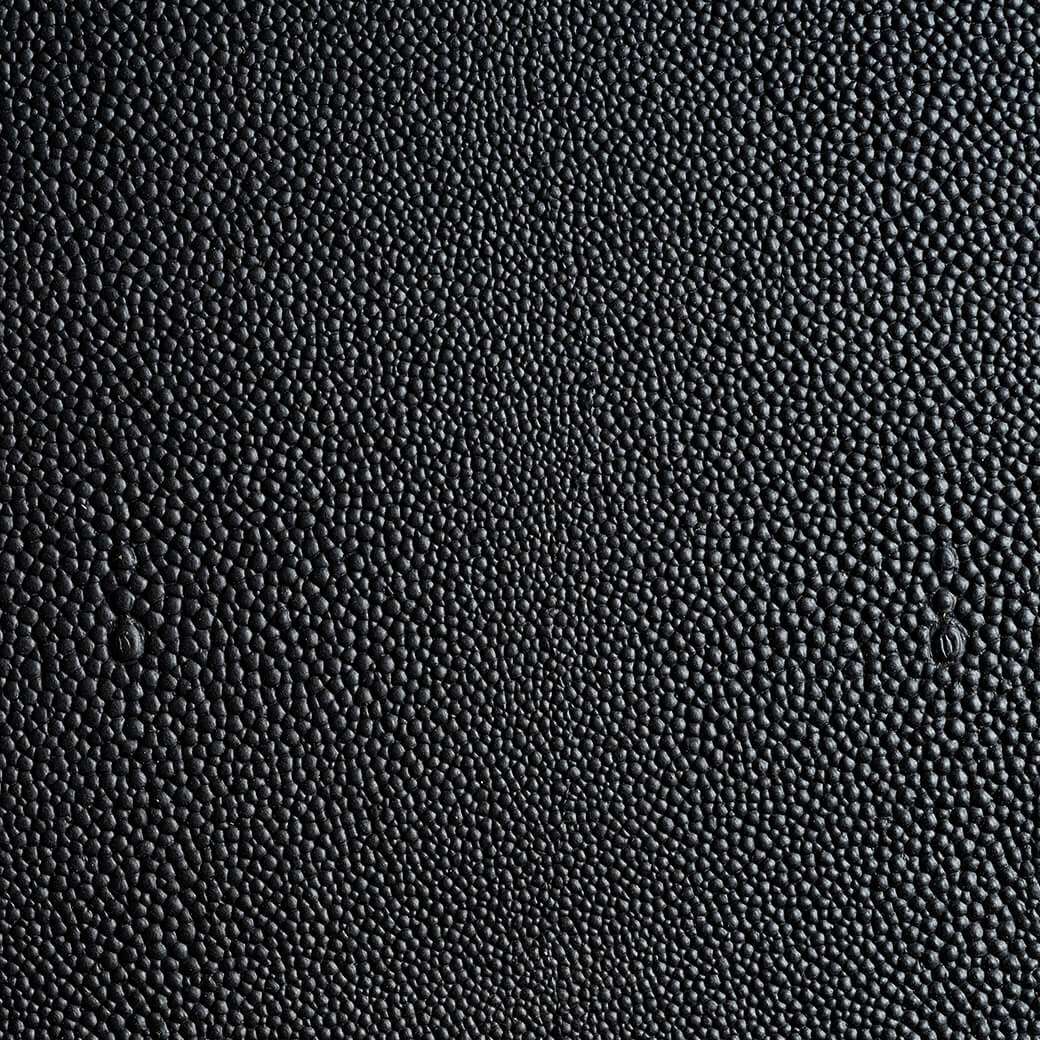black-shagreen-710316s-1662471786378