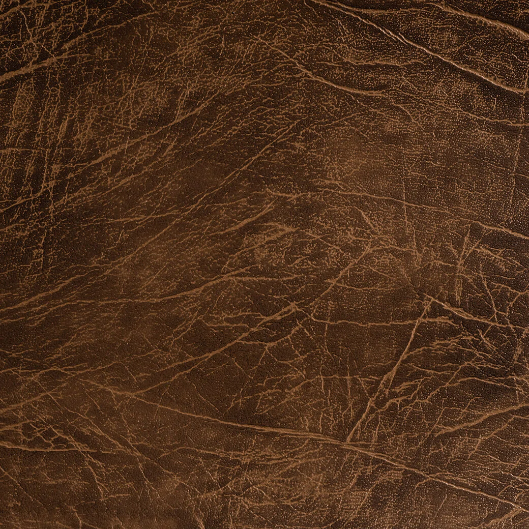 cocoa-buffalo-563613s-1662471786434